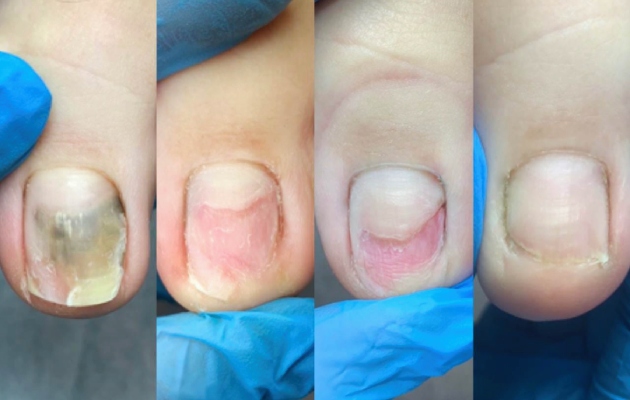 Разнообразные лекарственные травы